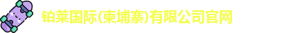 铂莱国际